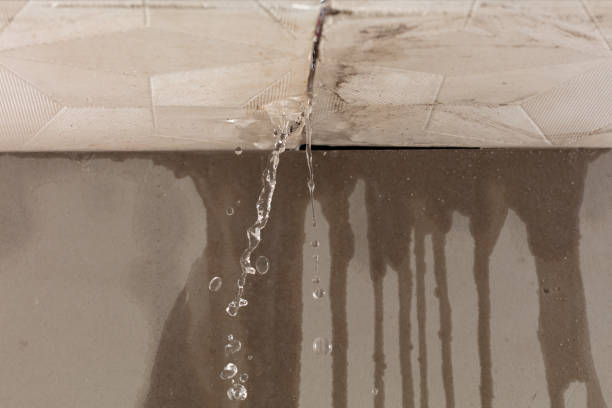 Professional Structural Drying technician working in Cloverdale, IN
